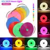 1M 5M Neon Strip 12V 2835 120Leds/M Flexible LED Strip Light Waterproof Outdoor Rope Light Blue/Warm/Pink/White/Red/Yellow/Green