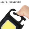 Takagi EARTH MAN 3.7V Rechargeable High Light Input 450 Lumens