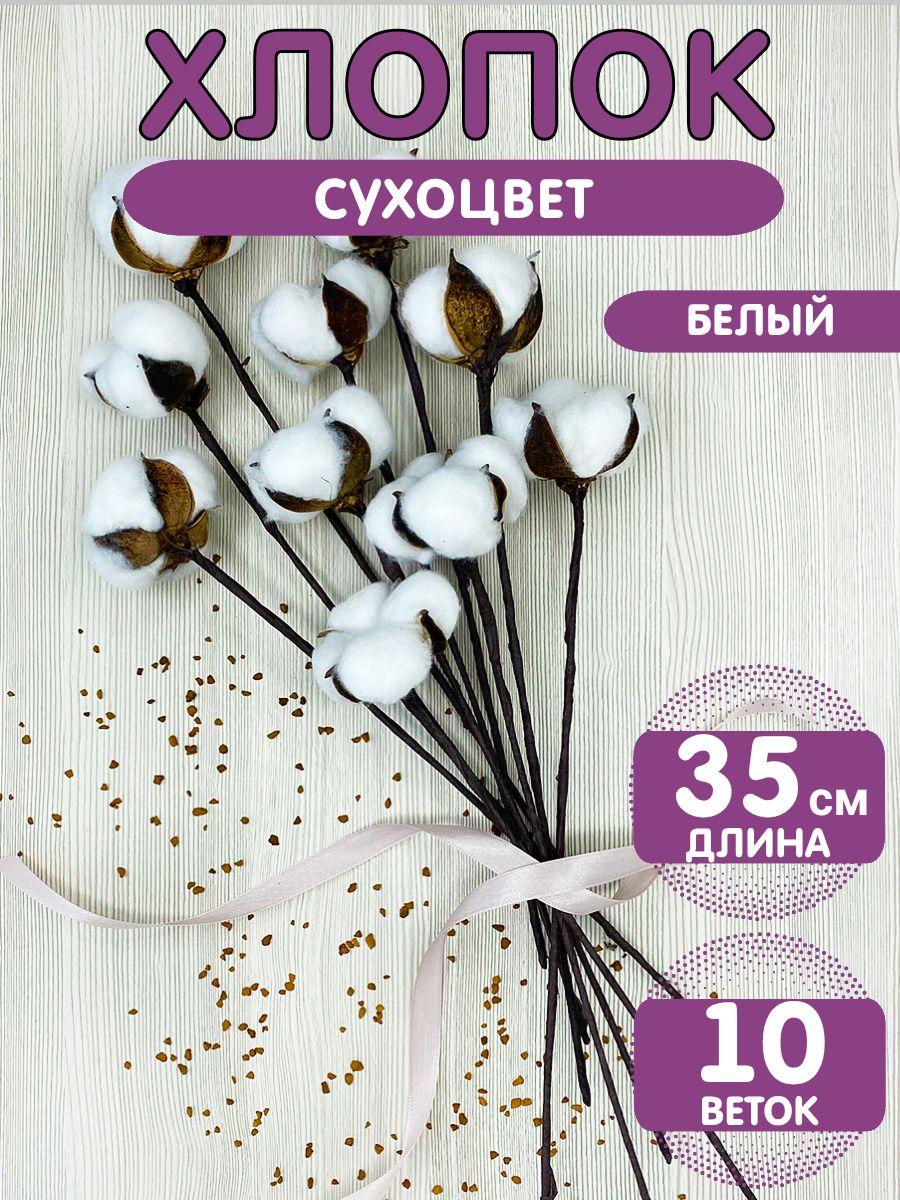 

Букет искусственного хлопка Натуральный стабилизированный цветок Декоративное украшение One Size белый