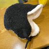 Bicycle Ear Protection and Windproof Lei Feng Hat Trendy Pilot Hat Men and Women Winter Korean Version Ins Thickened Warm Ski Hat