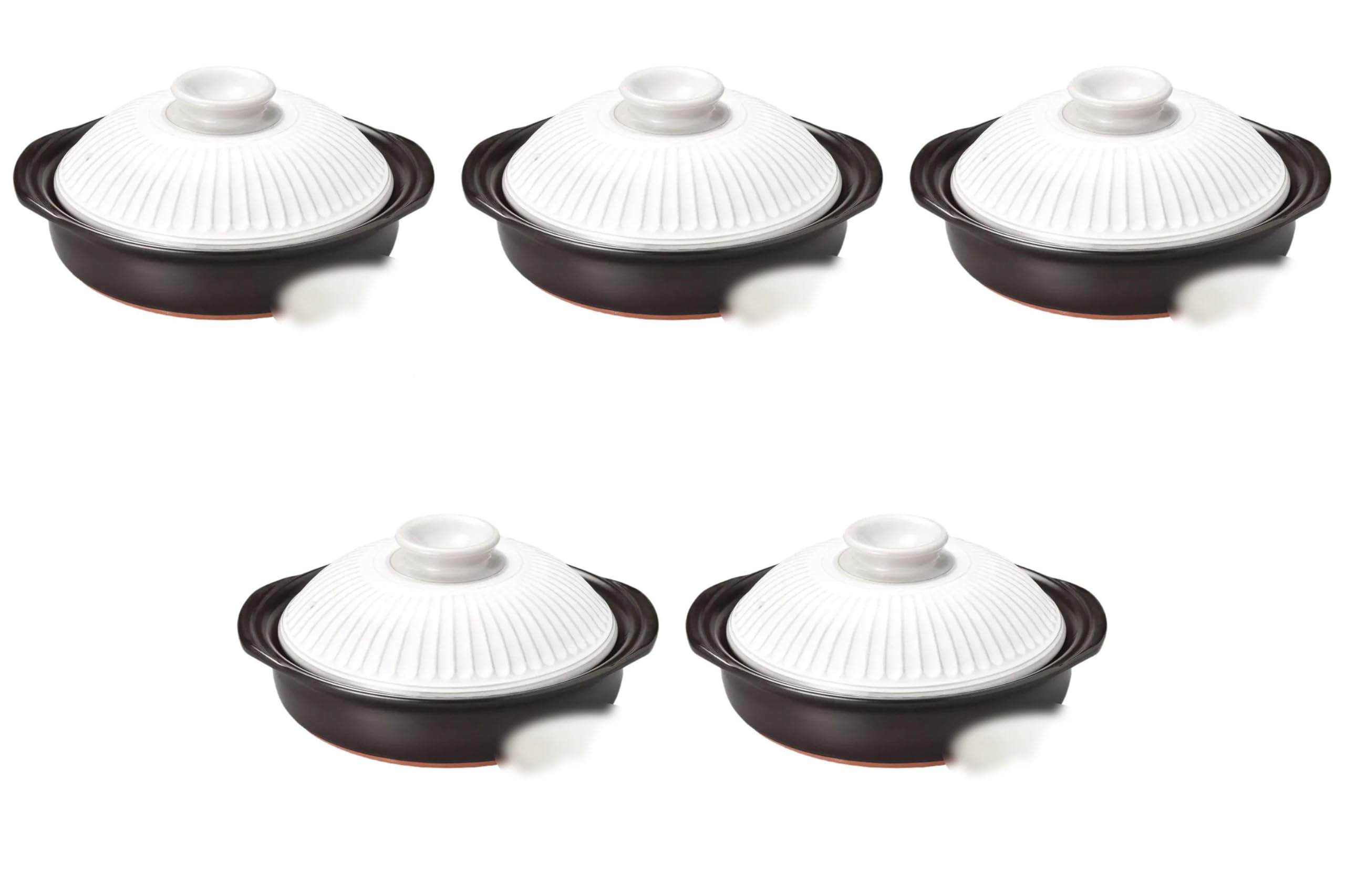 

Set of 5 Chrysanthemum 6 Pots x 19 x 11 Banko Ware Earthenware Direct Fire Setomonohonpo Powder-Dried No. [21 cm] Pots, (Pot Only),