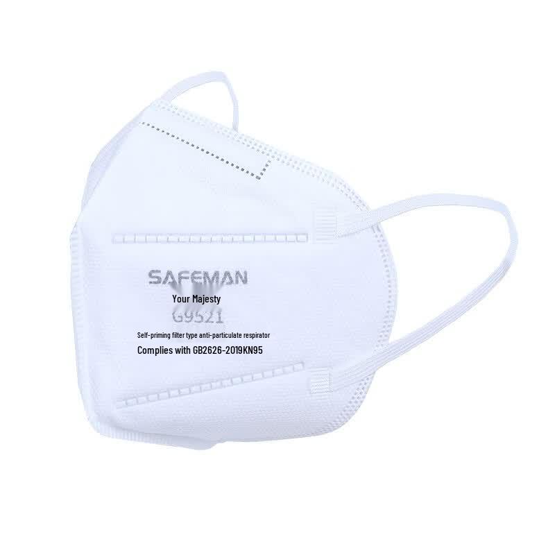 Junyu G9521 KN95 Earloop Face Mask