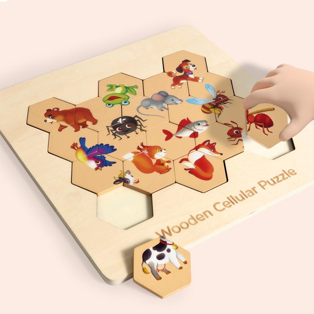 Wooden Puzzle, Shape Matching Honeycomb Puzzle