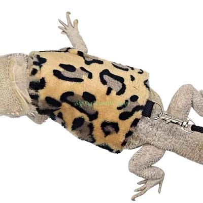 24TE Small Animals Vest Suit with Leash Reptiles Costume BeardedDragon Warm Clothing