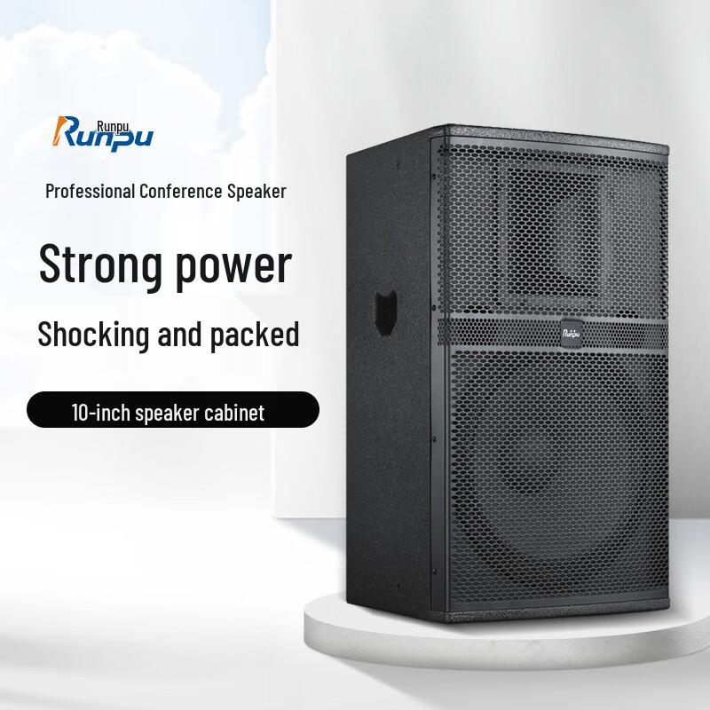 Runpu Professional Dual 10-inch Passive Conference Speaker (CN Version)