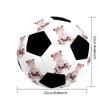 Customize Your picture Size 10 Soccer football Machine Sewn Indoor/Outdoor Training and Matches Personalized Soccer Ball