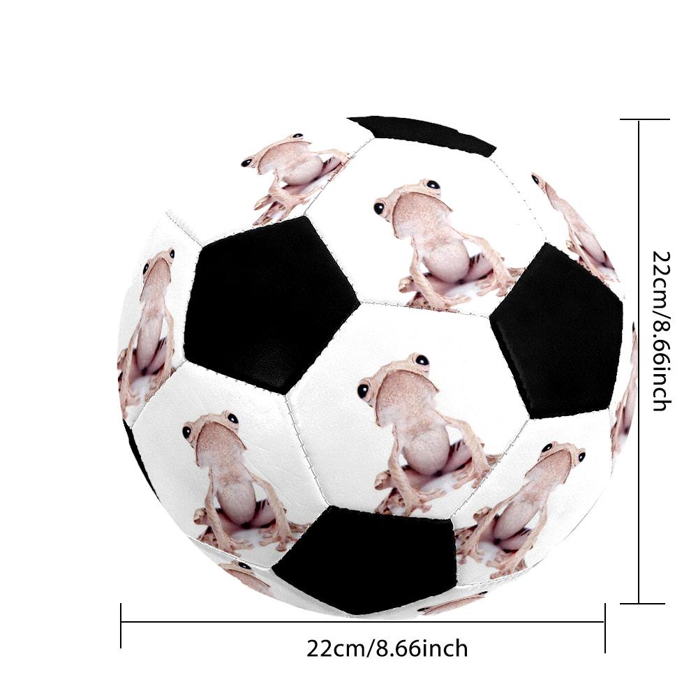 Customize Your picture Size 10 Soccer football Machine Sewn Indoor/Outdoor Training and Matches Personalized Soccer Ball
