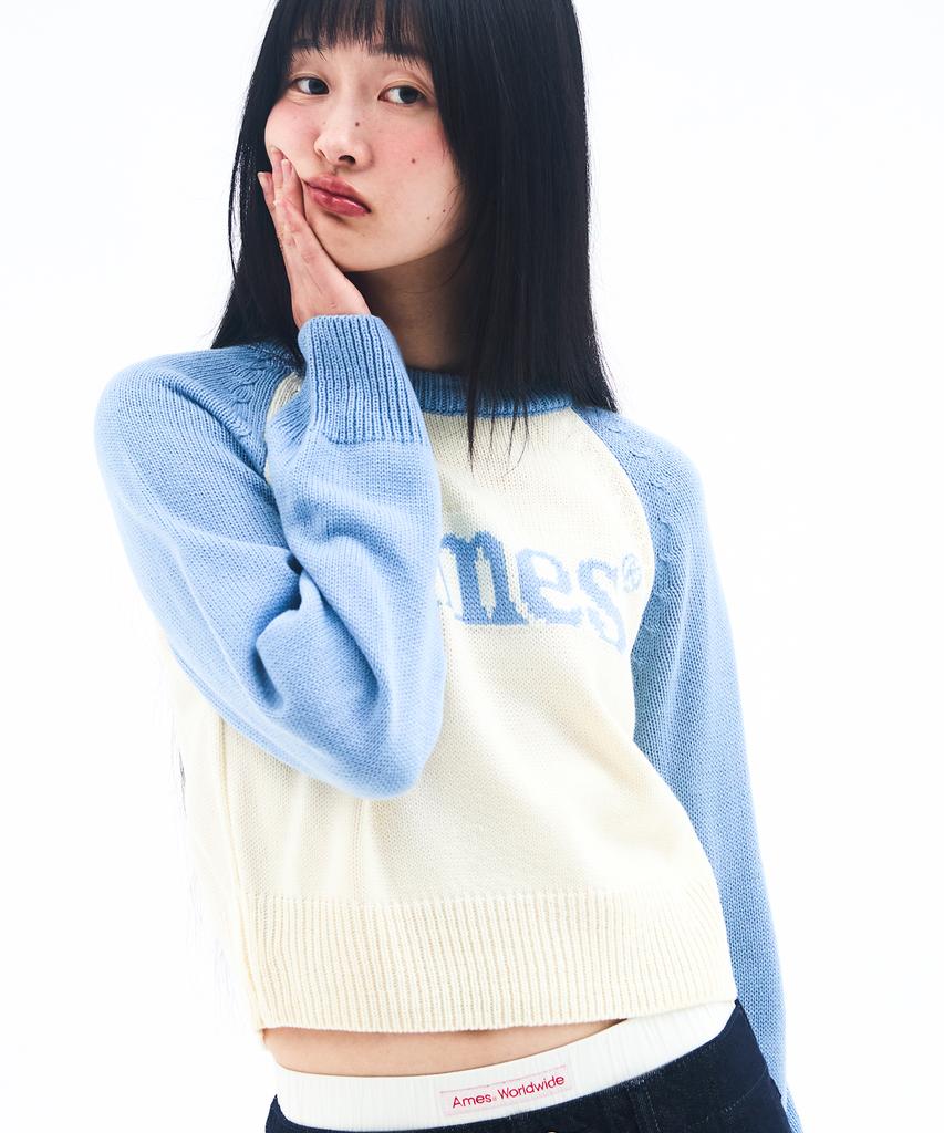 AMES-WORLDWIDE Basic Raglan Pullover Knit Light Blue