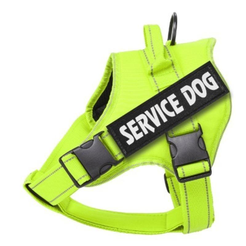 Dog Chest and Back Straps for Medium and Large-sized Pets, Anti-collision and Anti-slip