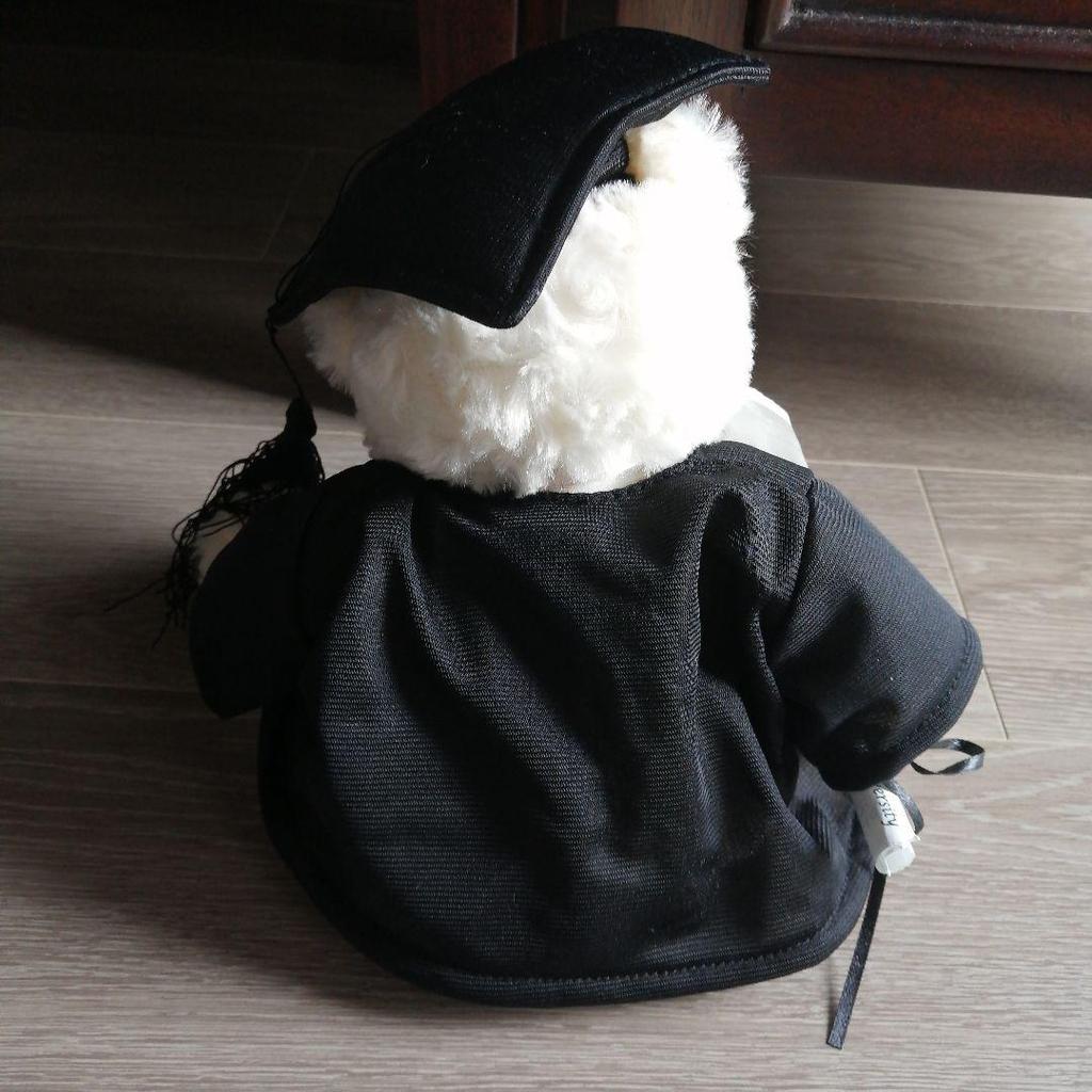 [USED] Extremely Rare Seoul National University Graduation Commemorative Teddy Bear