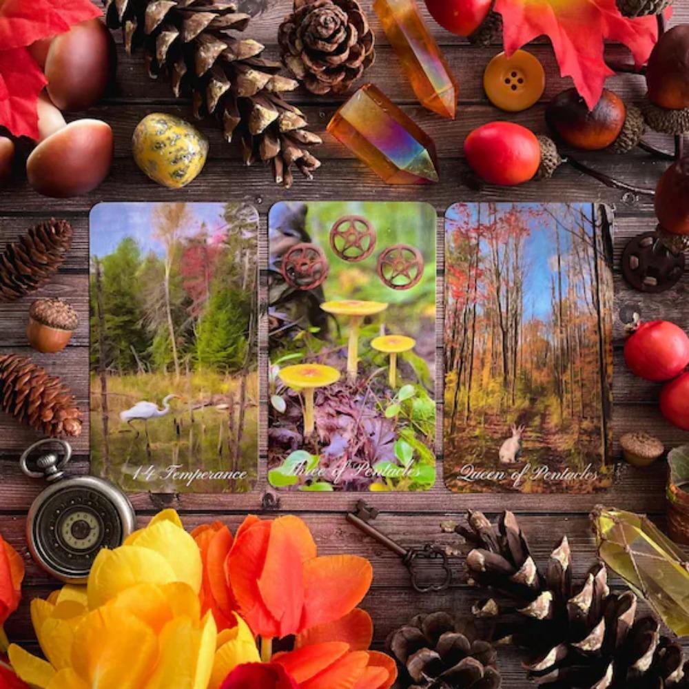 Medytacja w ruchu Tarot 10,3*6cm Łączy się z naturalnymi elementami każdego sezonu 78 sztuk kart tarota opartych na RWS