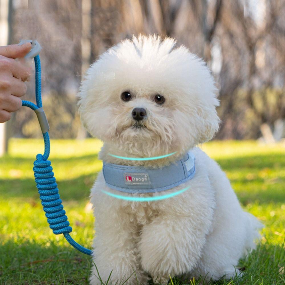 Comfortable Dog Harness Vest Adjustable Puppy Chest Strip Practical Dog Leash for Puppy Dogs