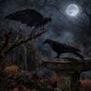 Realistic Crow Tabletop Decoration Halloween Prop Scary Atmosphere Artificial Crow Figurine for Seasonal Indoor Outdoor Display