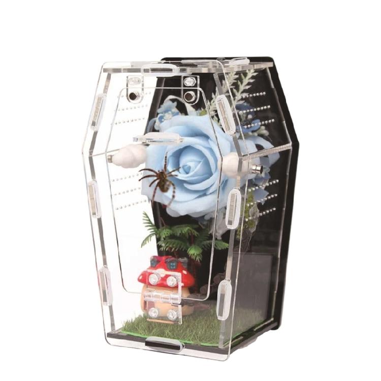

Acrylic Miniature Pet Terrarium For Jumping Spiders Hermits Mantis Practical Jumping Spiders Enclosure 1