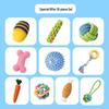 10-teiliges Hundespielzeug-Geschenkset