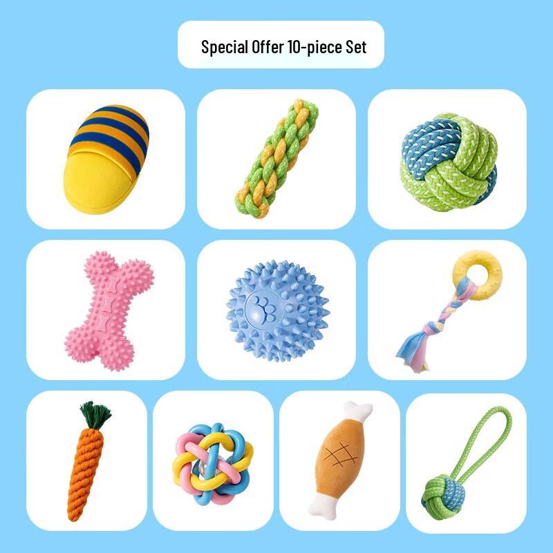 10-Piece Dog Toy Gift Set