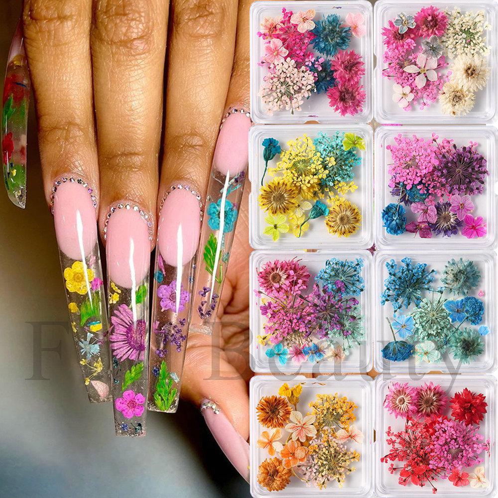 Nail Art Dried Flowers Japanese Mixed Filled With Star Hydrangea Small Wrinkled Chrysanthemum Box Decoration Nail Dried Flowers