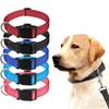 Reflektierender Hundehalsbandgurt mit verstellbarem Sicherheitshalsband aus Nylon für Haustiere, Haustier-Zugseil, geeignet für kleine und mittelgroße Haustiere