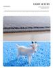 Non-Slip Absorbent Bathroom and Kitchen Mat