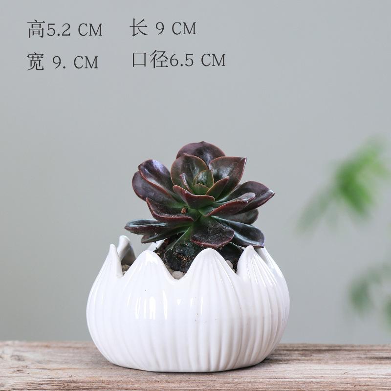 European-Style Simple Home Gardening Creative Succulent Flower Pot, Japanese-Style Grocery Cartoon Ceramic Flower Pot Small Potted Plant