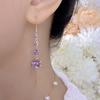 Elegant Fringed Zircon Earrings Fashionable Simple Purple Eastward Drop Earrings Exquisite Versatile Sophisticated Ear Zircon