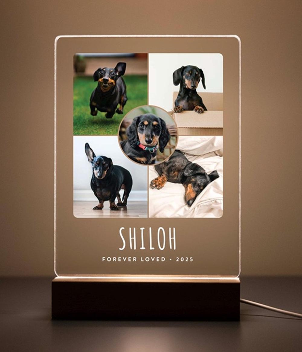 

Custom Dog Photo Plaque Pet Memorial Gift with LED Light Pet Loss Sympathy Keepsake Personalized Remembrance Gift