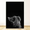 Decor Decorations For House Decoration Room Wall Stickers Home Decor Living Room Paintings By The Cat Poster Painting Nursery