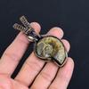 Ammonite Fossil 999 Copper Wire Wrapped Pendant, Handmade Gemstone Jewelry Pendant For Memorial Day