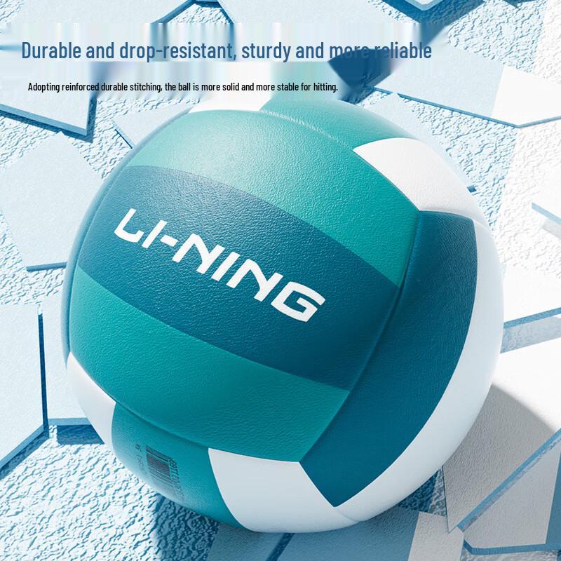 Li-Ning Standard Size 5 Training Volleyball