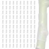 50pack Advanced Grafting Aid Sleeves Quick Setups Silicones Grafting Sleeves Suitable For Multiple Tree Types