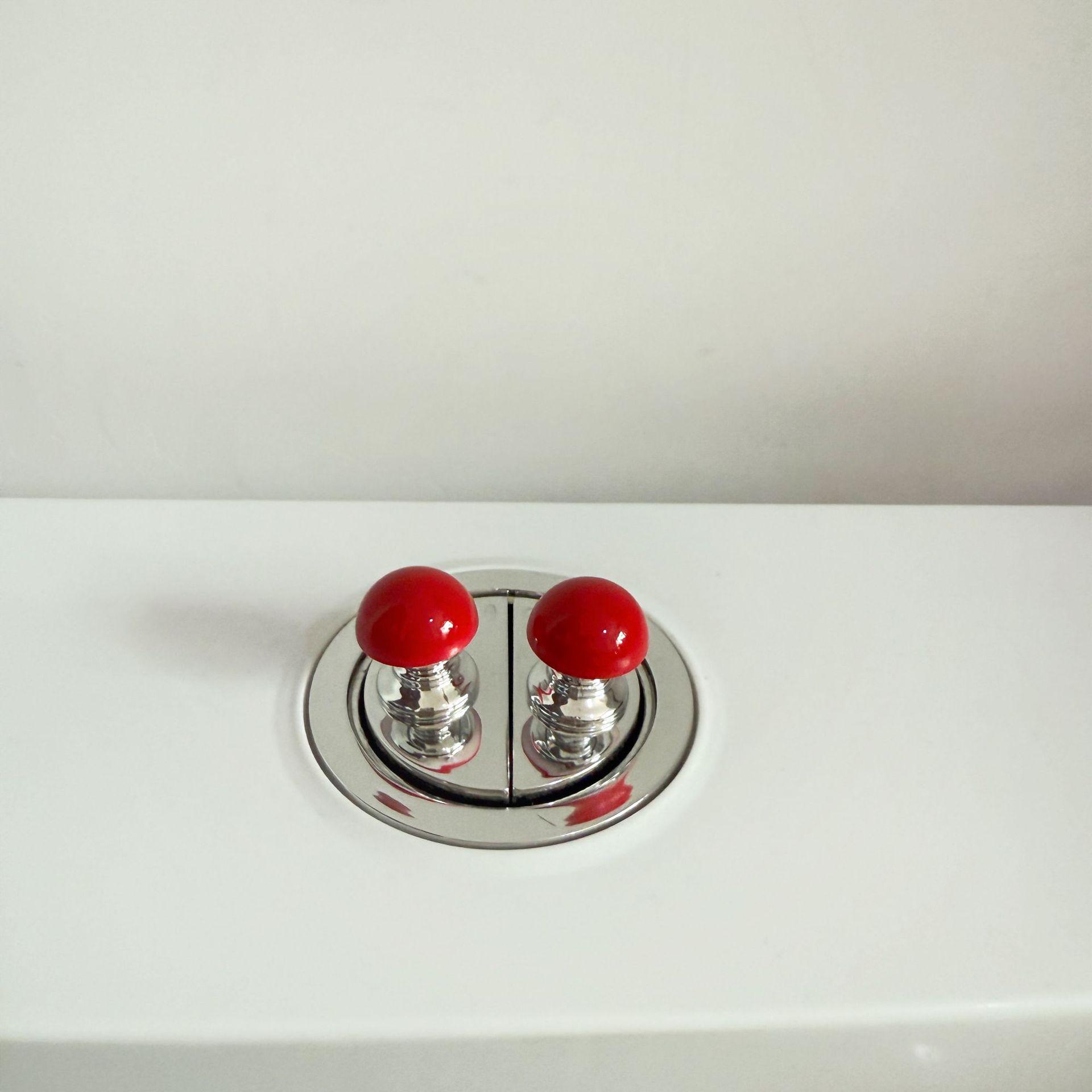 

Кнопка слива для унитаза с удлиненным штоком на тему помидоров