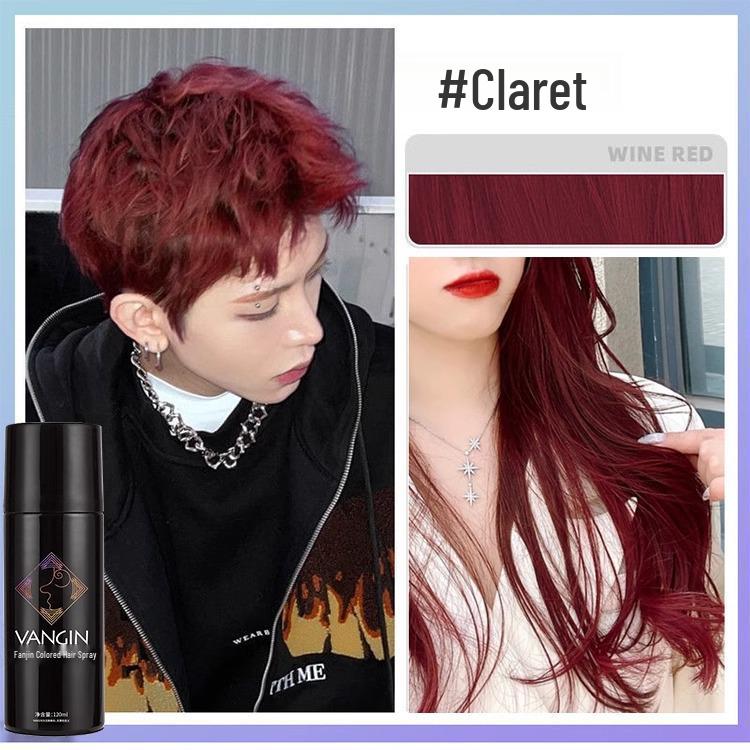 Temporary Washable Hair Dye Spray - One Spray for Black Color