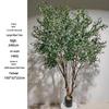 Olive Tree Potted Plant - Indoor Decor Simulation for Living Room