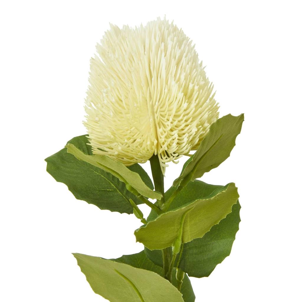 Hill Interiors Banksia Stem Artificial Plant