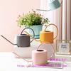Leide Zhuzhu Wrought Iron Long Spout Watering Can for Flowers and Succulents