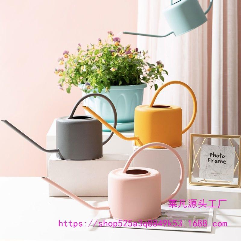 Leide Zhuzhu Wrought Iron Long Spout Watering Can for Flowers and Succulents