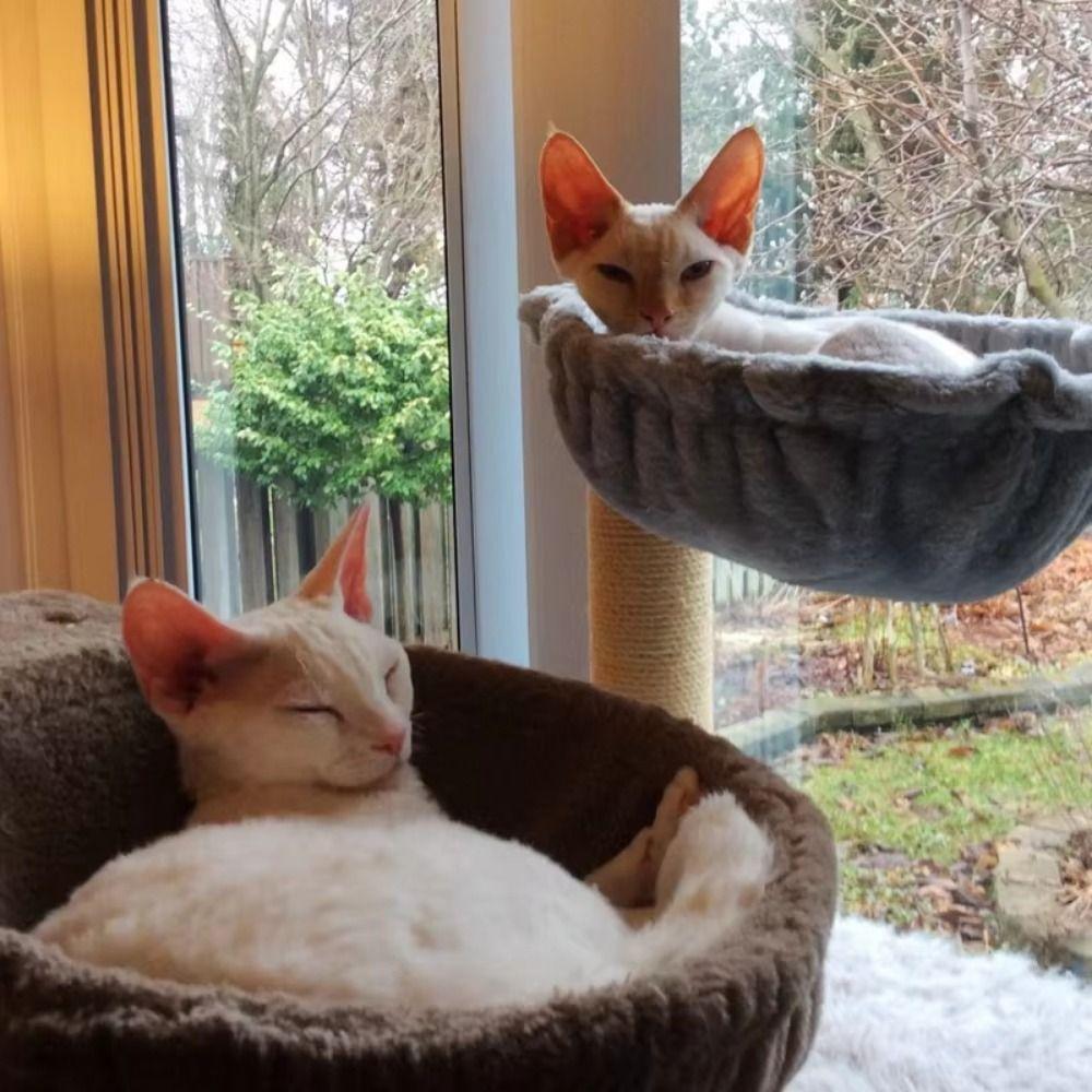 Soft Cat Tree Hammock Thick Plush Plush Cat Basket Sturdy Basketball Net Cat Sleeper  Indoor