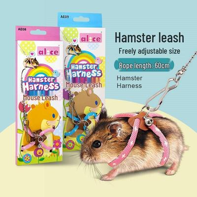 Laisse de Marche Anti-Morsure pour Hamster & Jouet Interactif pour Animaux de Compagnie
