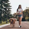 210cm Multipurpose Medium Size Dog Double Leash Leashes Adjustable And Nylon Luxury Hands Free Small Dog Leash For 2 Dogs