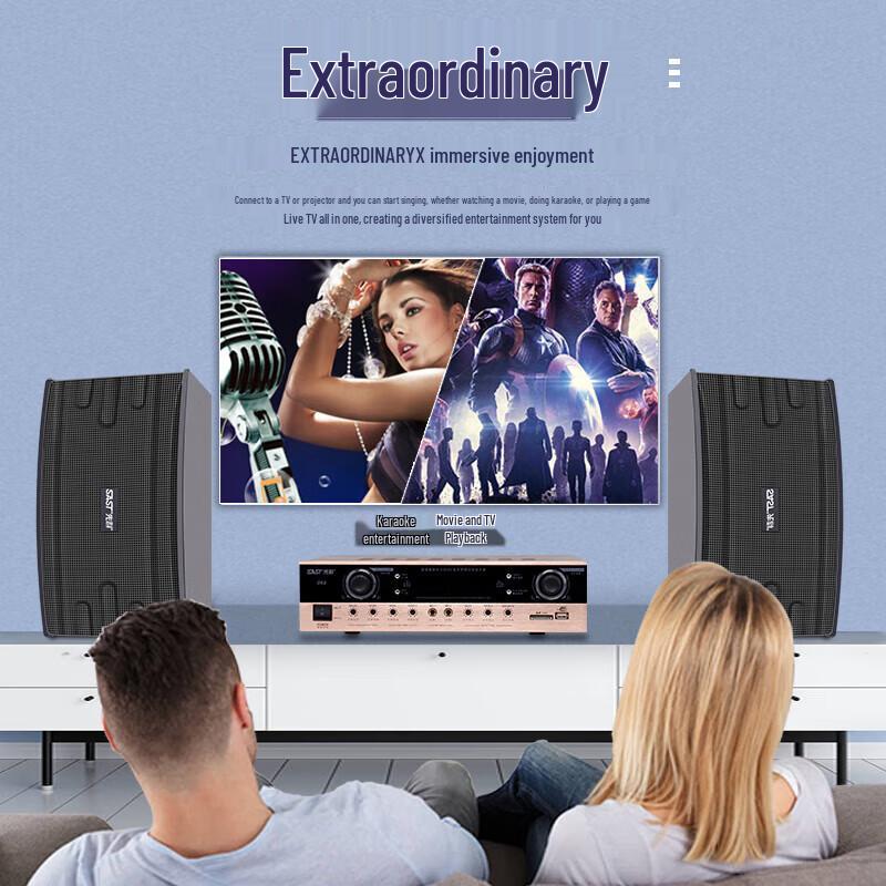 SAST Professional KTV & Conference Passive Speakers
