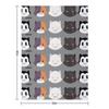 Miau Wurfdecke Decken für Baby Flanell Bettüberwürfe für Winter Decken