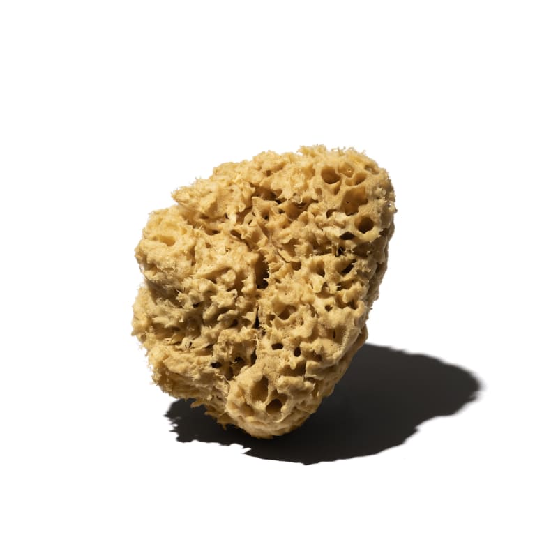 

Натуральная губка (большой)