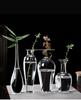 Zen Transparent Glass Vase for Hydroponic Plants and Small Mouth Flower Arrangements