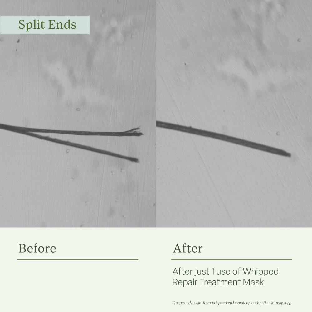 Divi Maska do włosów w podróżnym rozmiarze Whipped Repair Treatment 2.0 oz