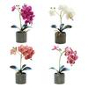 Artificial Potted Plant Faux Moth Orchid Bonsai Desktop Artificial Potted Phalaenopsis Flowers for Home Dining Table Office Desk Decoration