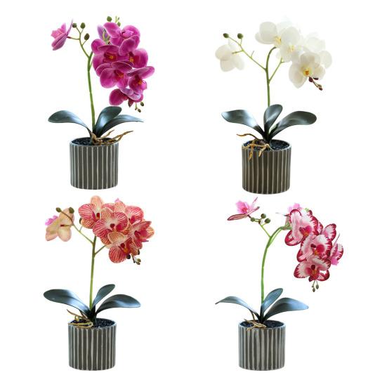 Artificial Potted Plant Faux Moth Orchid Bonsai Desktop Artificial Potted Phalaenopsis Flowers for Home Dining Table Office Desk Decoration