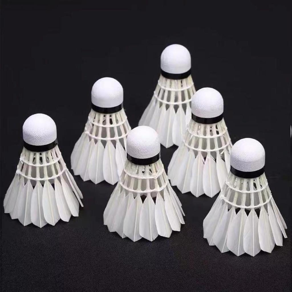Itisyou Badminton Fitness Badminton Balls for Outdoor Pack of 12 Shuttlecocks, Badminton, High-Speed Practice, Use,