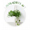 White Hanging Plant Pot Eggshell Shape Planter Self Watering Plant Pot  Indoor Outdoor Ornament