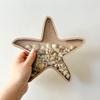 Creative Starfish-Shaped Display Box Wooden Multi-Function Star Piggy Bank Translucent Decoration Desk Organizer Home Decor