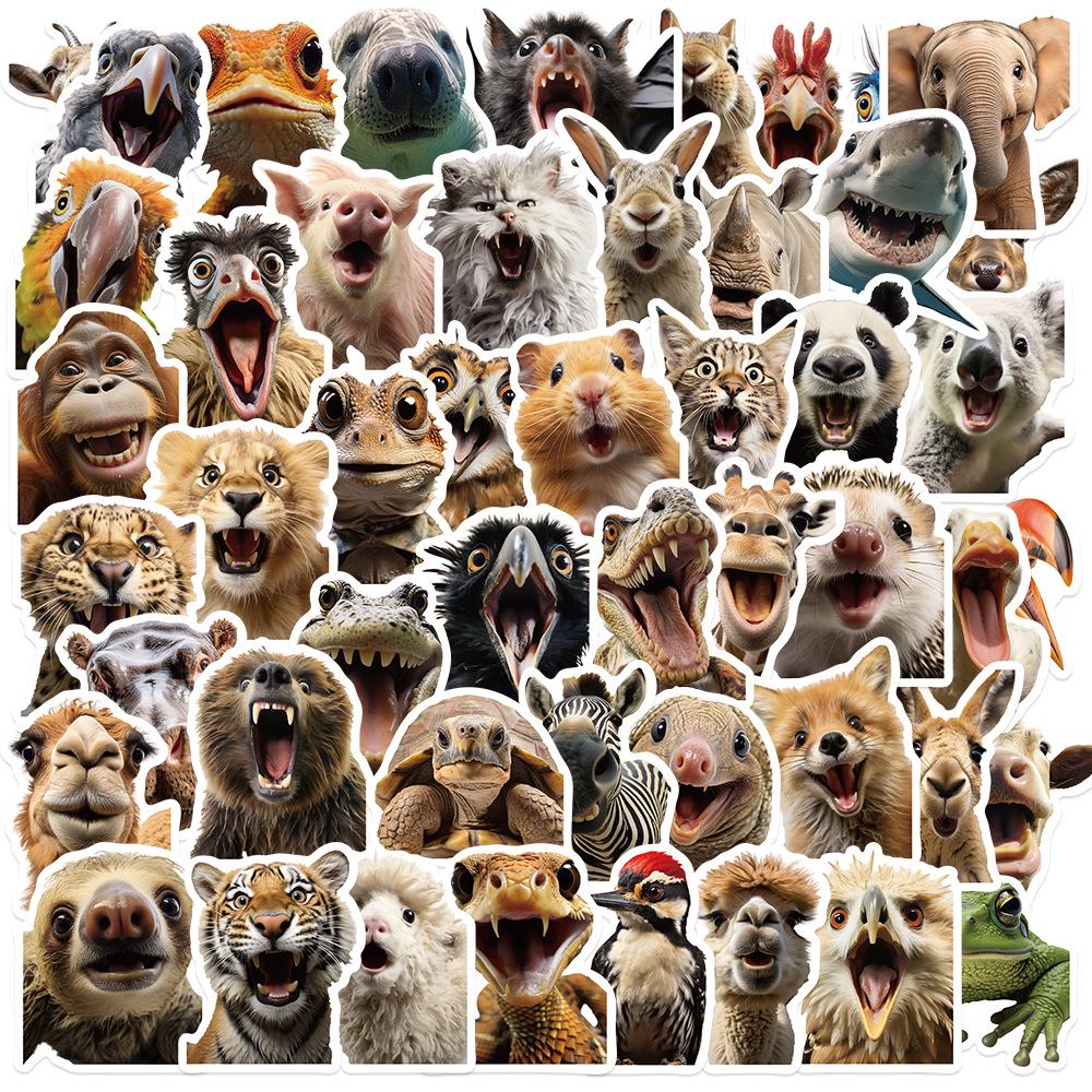 Sada samolepek divoké zvěře: Los, Alpaka, Panda & Lev